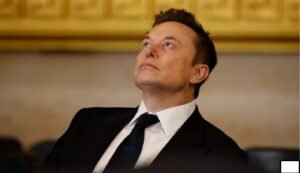 एलन मस्क