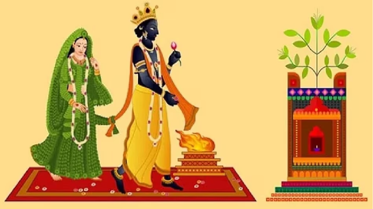 तुलसी विवाह: घर की इस दिशा में रखें तुलसी का पौधा, बढ़ने लगेगा बैंक बैलेंस!