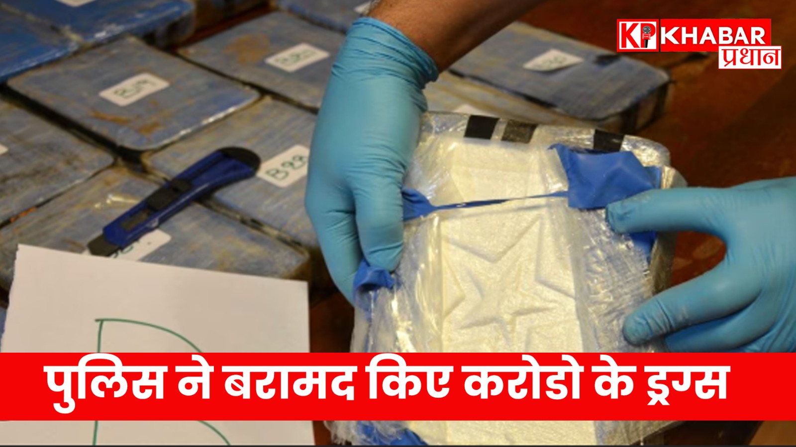 पुलिस ने बरामद किए करोडो के ड्रग्स