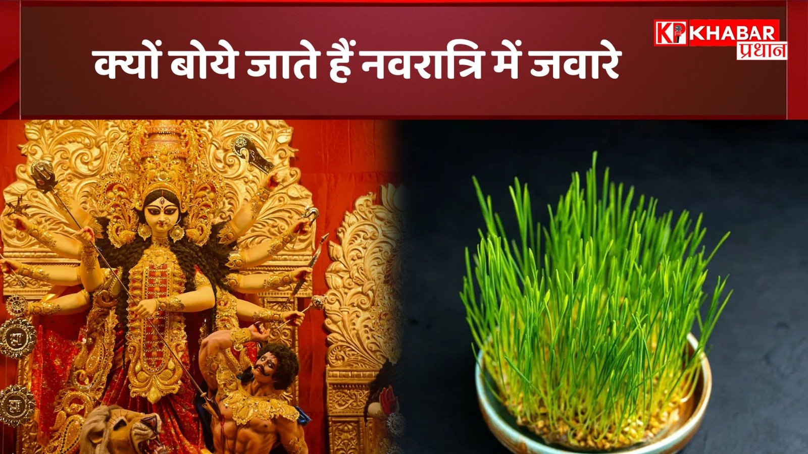 क्यों बोये जाते हैं नवरात्रि में ज्वारें: इस प्राचीन परंपरा का क्या है रहस्य