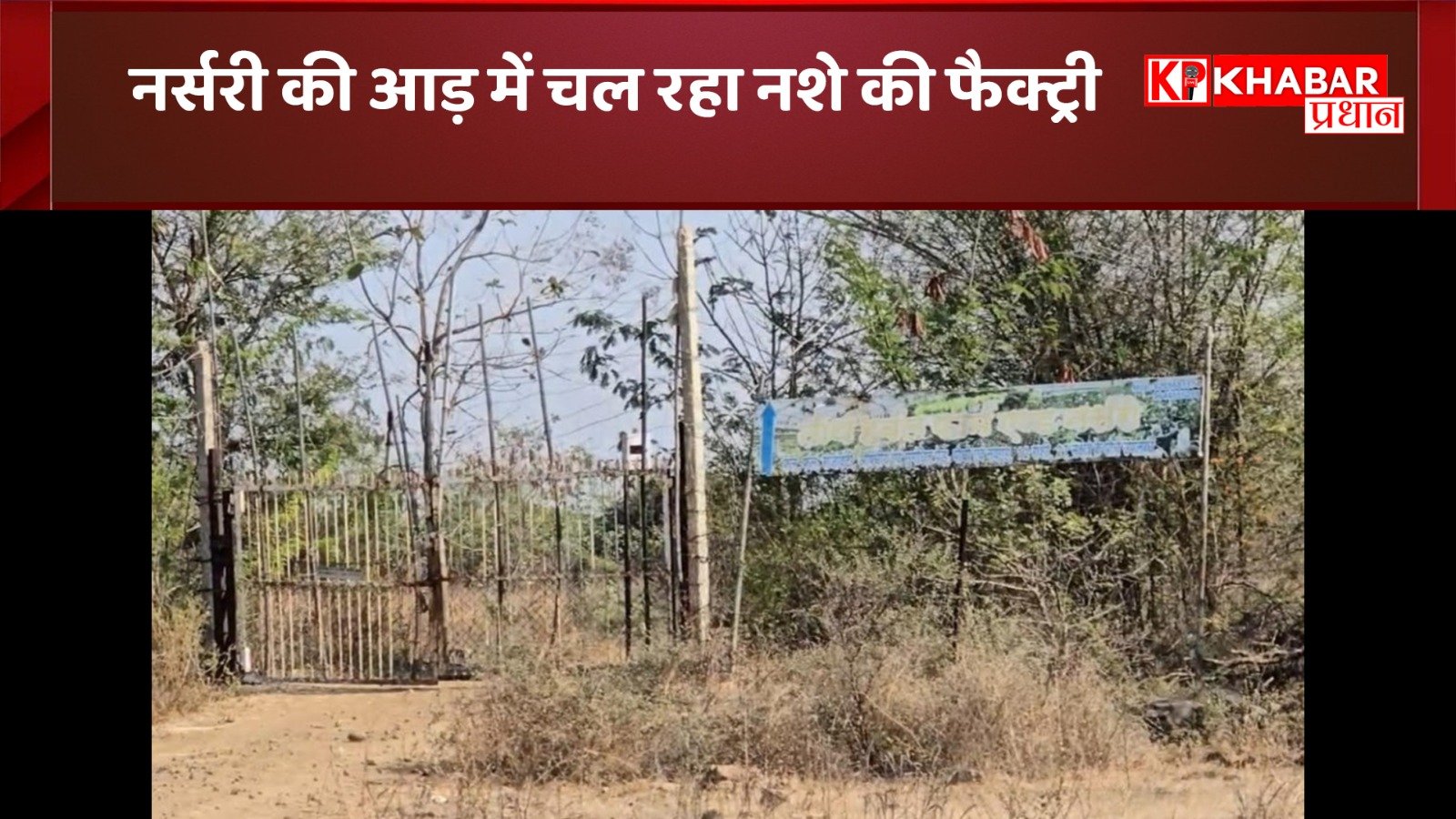 नर्सरी की आड़ में चल रहा नशे की फैक्ट्री