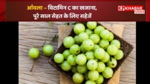 आँवला – विटामिन C का खजाना, पूरे साल सेहत के लिए सहेजें: