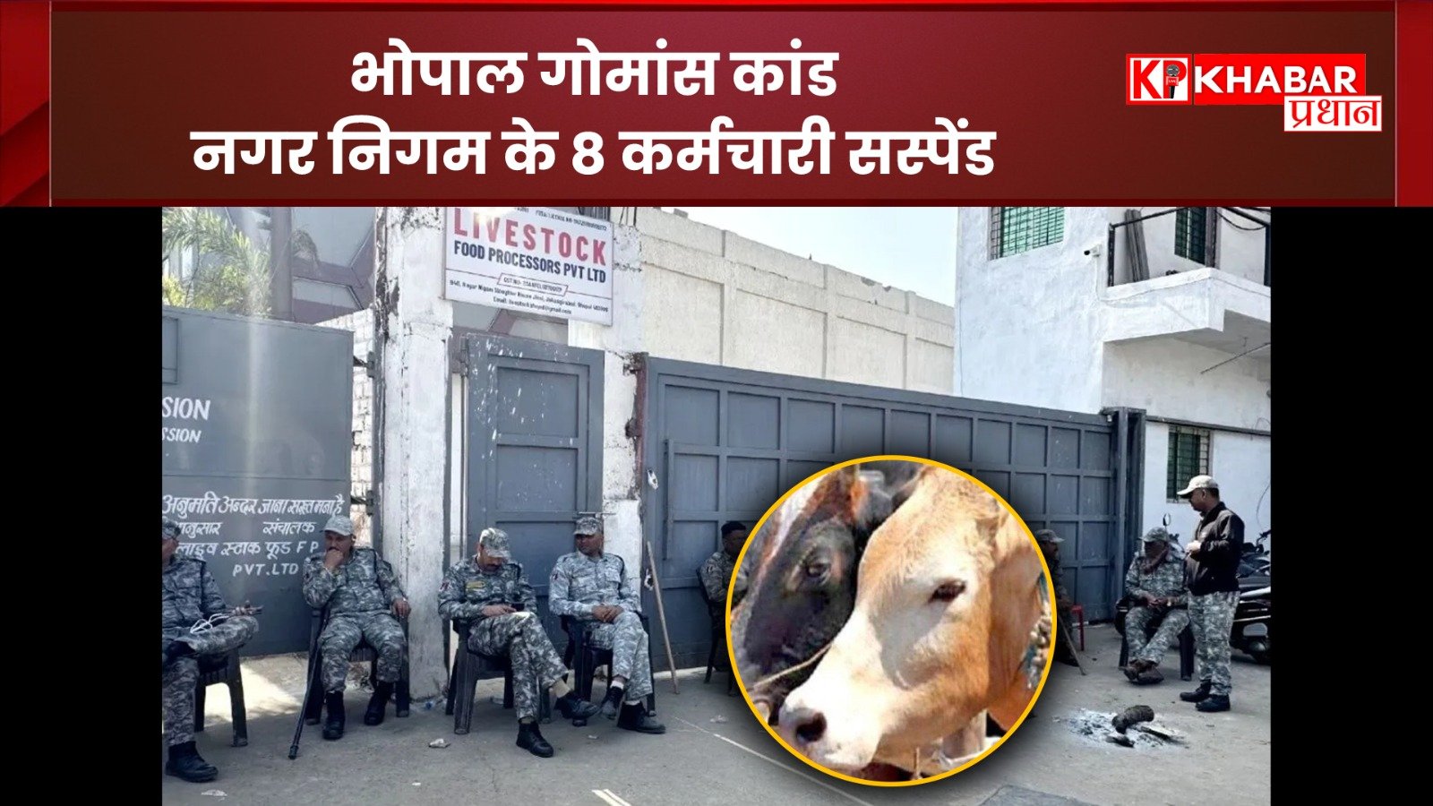 भोपाल में गोमांस मामले में बड़ी कार्रवाई: