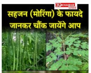 सहजन: दुनिया का सबसे सुपरफूड—क्यों है इतना खास :