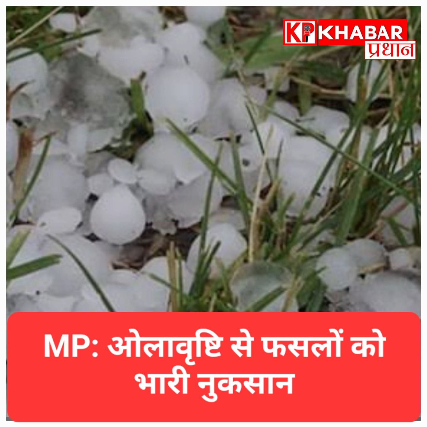 प्रदेश के 42 जिलों में तेज आंधी-बारिश और ओलावृष्टि, फसलों को भारी नुकसान
