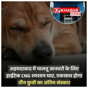 अहमदाबाद में शुरू हुआ पेट क्रेमेटोरियम, पालतू कुत्तों को मिल रही सम्मानजनक विदाई