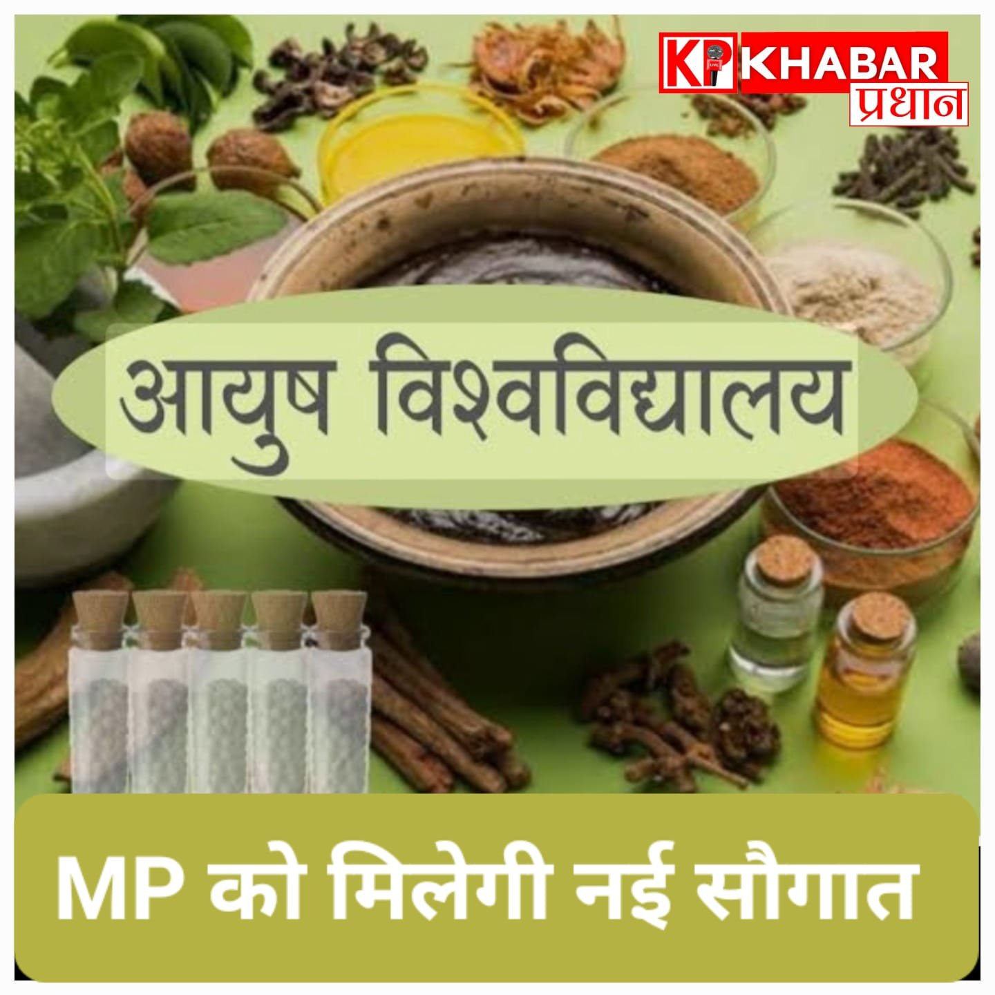 MP बनेगा ‘आयुष हब’: प्रदेश को मिलेगी अपनी आयुष यूनिवर्सिटी, आयुर्वेद कॉलेजों में शुरू होंगे नए कोर्स और रिसर्च