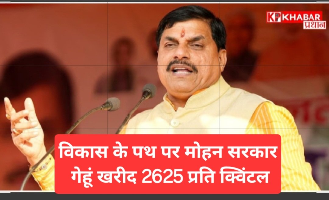 मध्यप्रदेश में मोहन सरकार का बड़ा फैसला: गेहूं खरीद 2625 रुपये प्रति क्विंटल, 40 रुपये बोनस भी मिलेगा