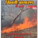 खिवनी अभयारण्य में आग: 100 मीटर दूर शावक संग थी बाघिन मीरा, एक घंटे में बुझाई गई आग