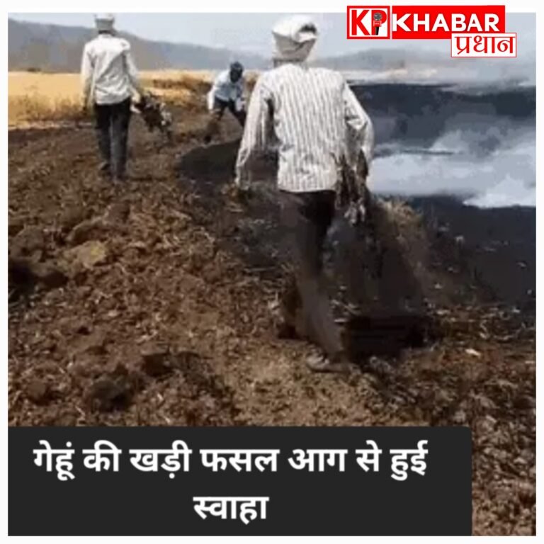 कटाई से पहले खड़ी फसल में लगी आग..50 एकड़ गेहूं की फसल जलकर हुई खाक,: