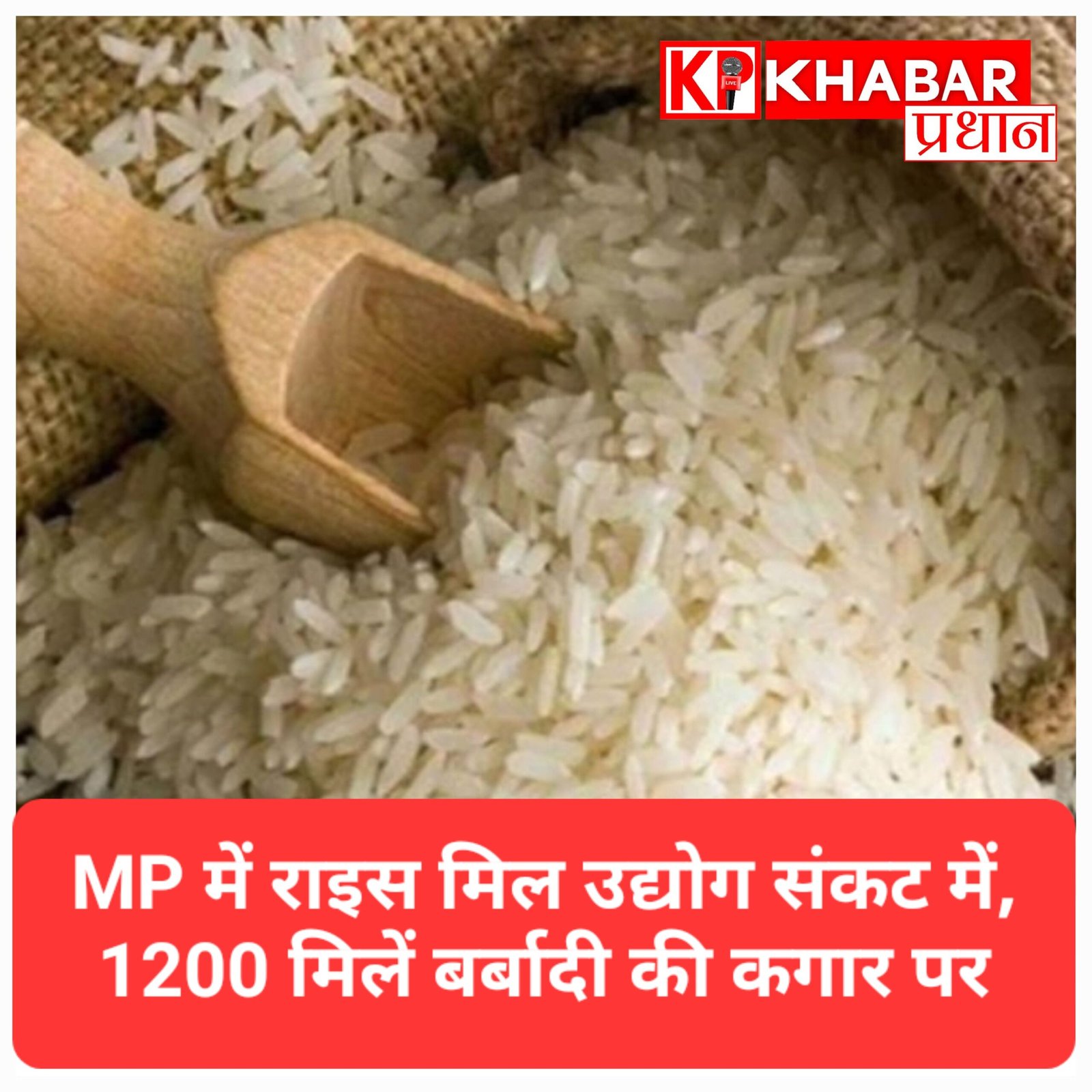 राइस मिल उद्योग संकट में, 1200 मिलें प्रभावित: 700 हो गई बंद