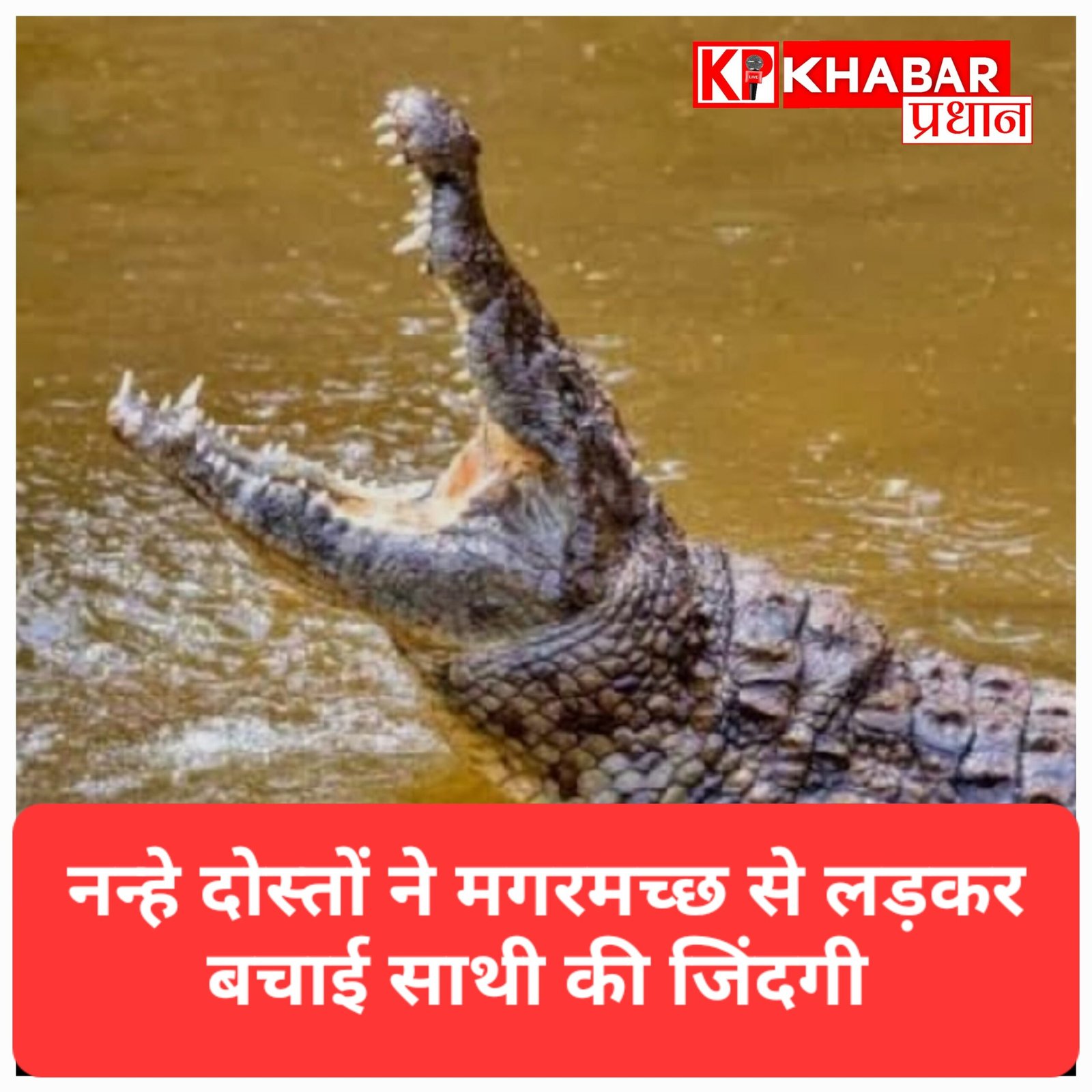 मौत के जबड़े से खींच लाए जान: बहराइच में 5 नन्हे दोस्तों ने मगरमच्छ से लड़कर बचाई साथी की जिंदगी