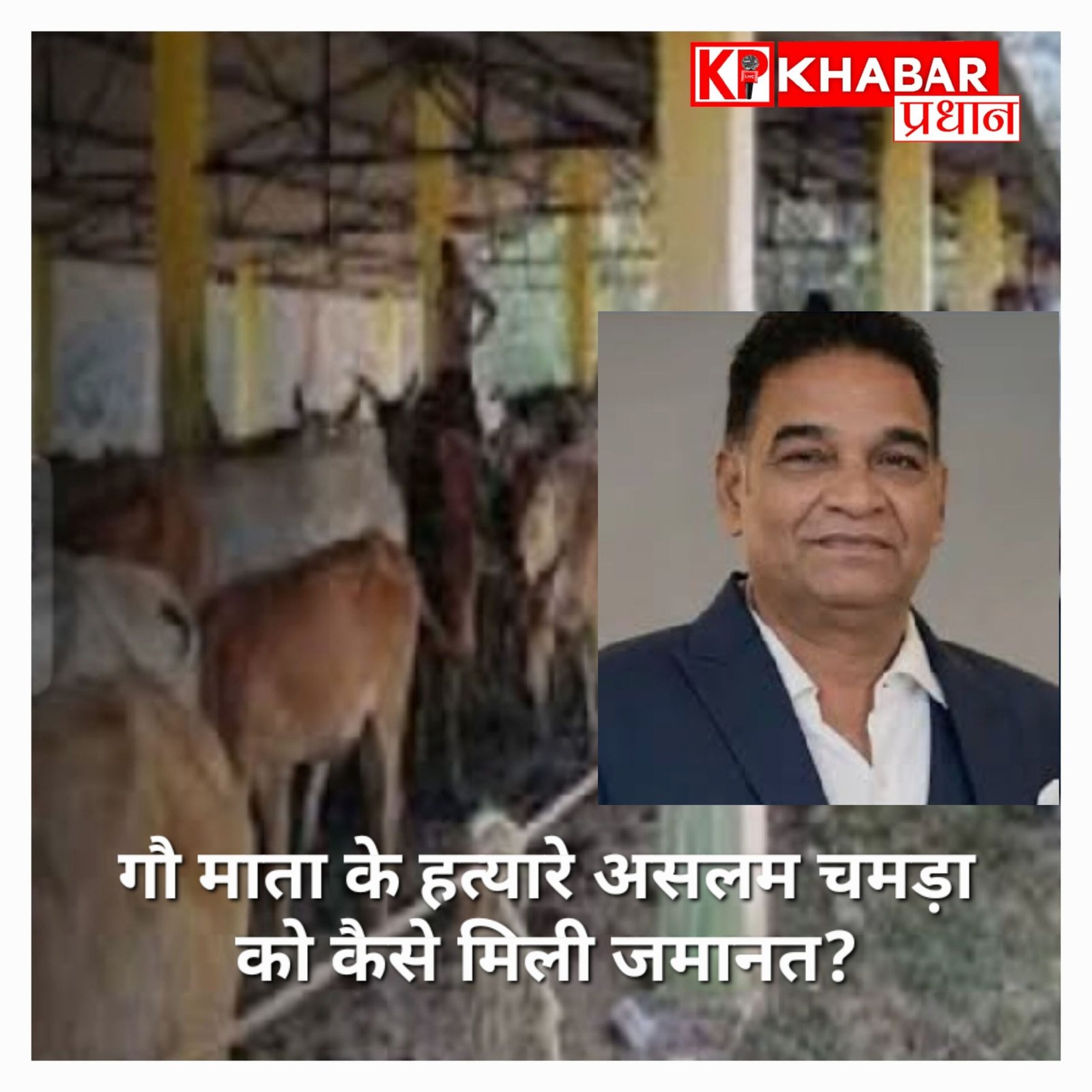 गोकशी के आरोपी असलम चमड़ा की जमानत से हिंदू संगठन भड़के, अब सुप्रीम कोर्ट में दी जाएगी चुनौती