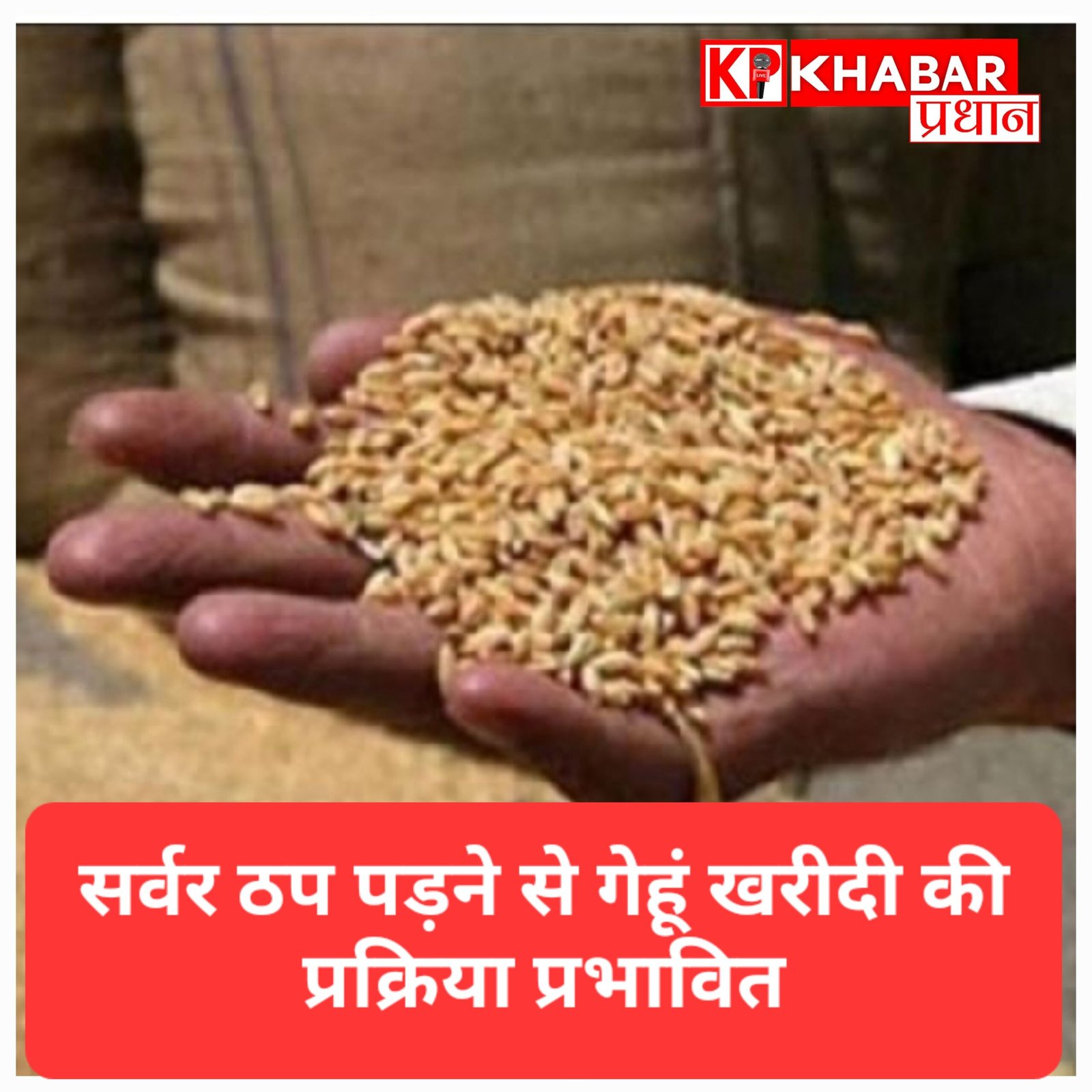 गेहूँ खरीदी केंद्रों पर सर्वर ठप होने से बढ़ी मुसीबत: किसान&nbsp; हुए परेशान