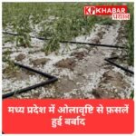 मध्य प्रदेश में आंधी और ओलावृष्टि से फसलें बर्बाद; 33 जिलों में ऑरेंज अलर्ट जारी