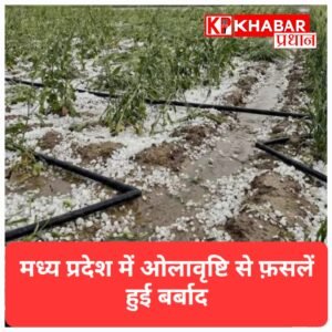 मध्य प्रदेश में आंधी और ओलावृष्टि से फसलें बर्बाद; 33 जिलों में ऑरेंज अलर्ट जारी