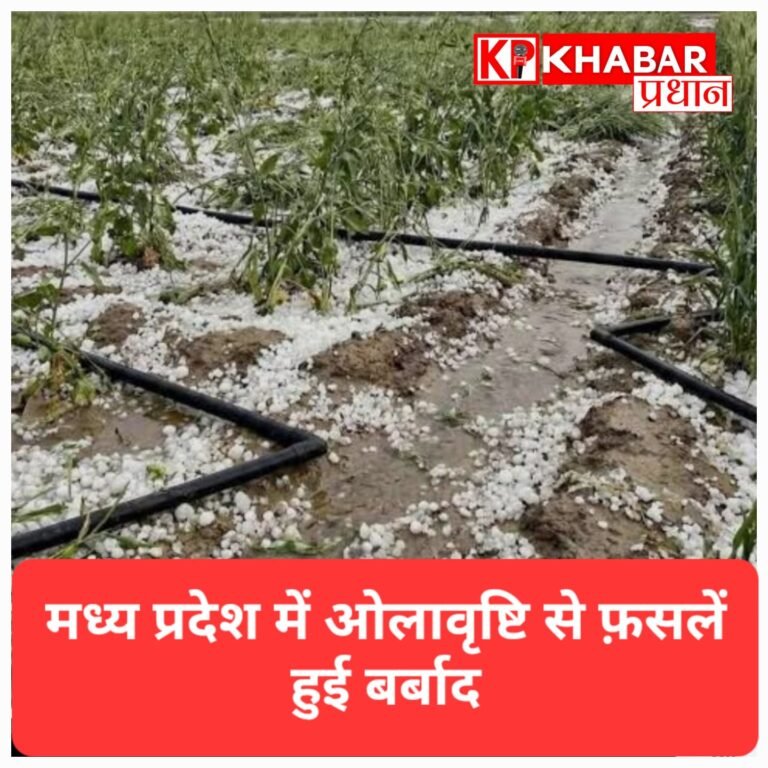 मध्य प्रदेश में आंधी और ओलावृष्टि से फसलें बर्बाद; 33 जिलों में ऑरेंज अलर्ट जारी