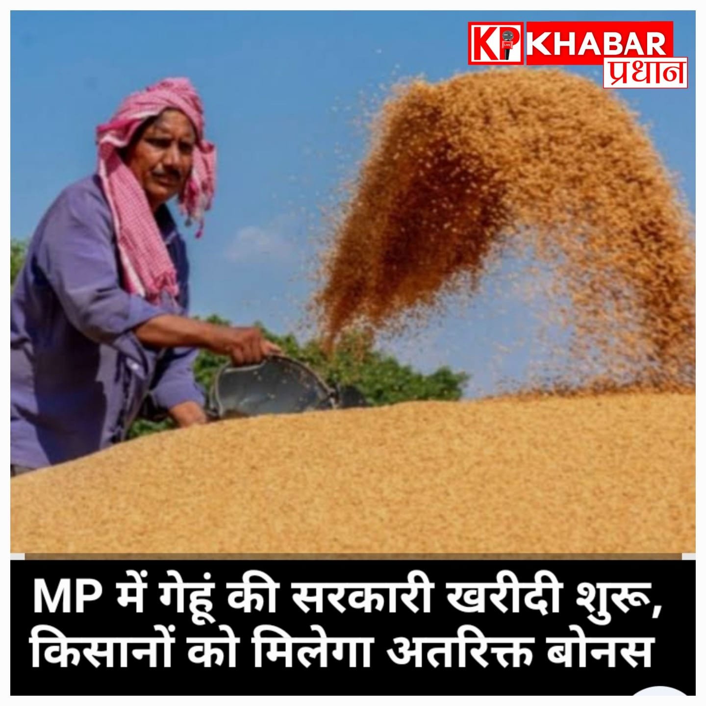 मध्य प्रदेश में गेहूं की सरकारी खरीदी शुरू, किसानों को मिलेगा बोनस और तिलक लगाकर होगा स्वागत
