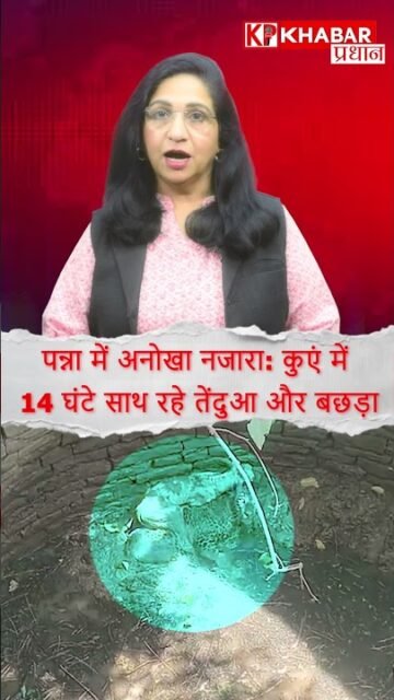 MP News: पन्ना में हैरान कर देने वाला मामला, शिकारी और शिकार बने दोस्त