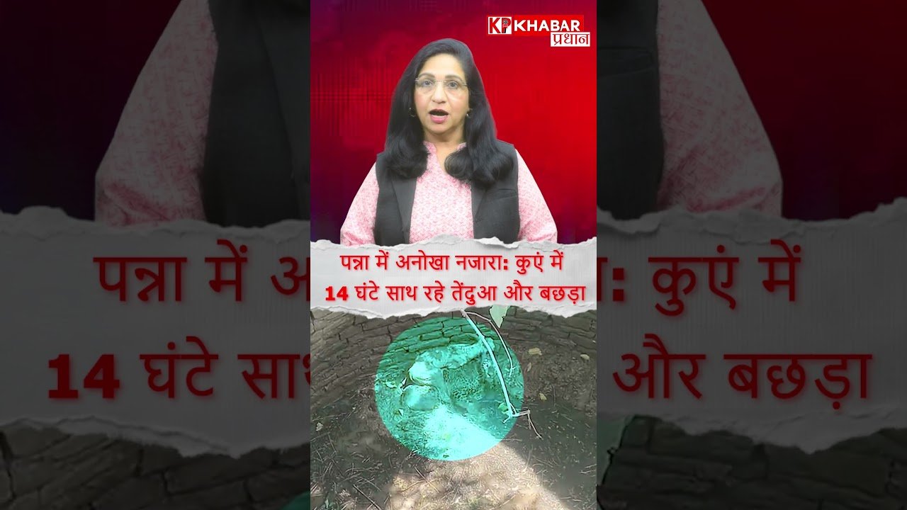 MP News: पन्ना में हैरान कर देने वाला मामला, शिकारी और शिकार बने दोस्त