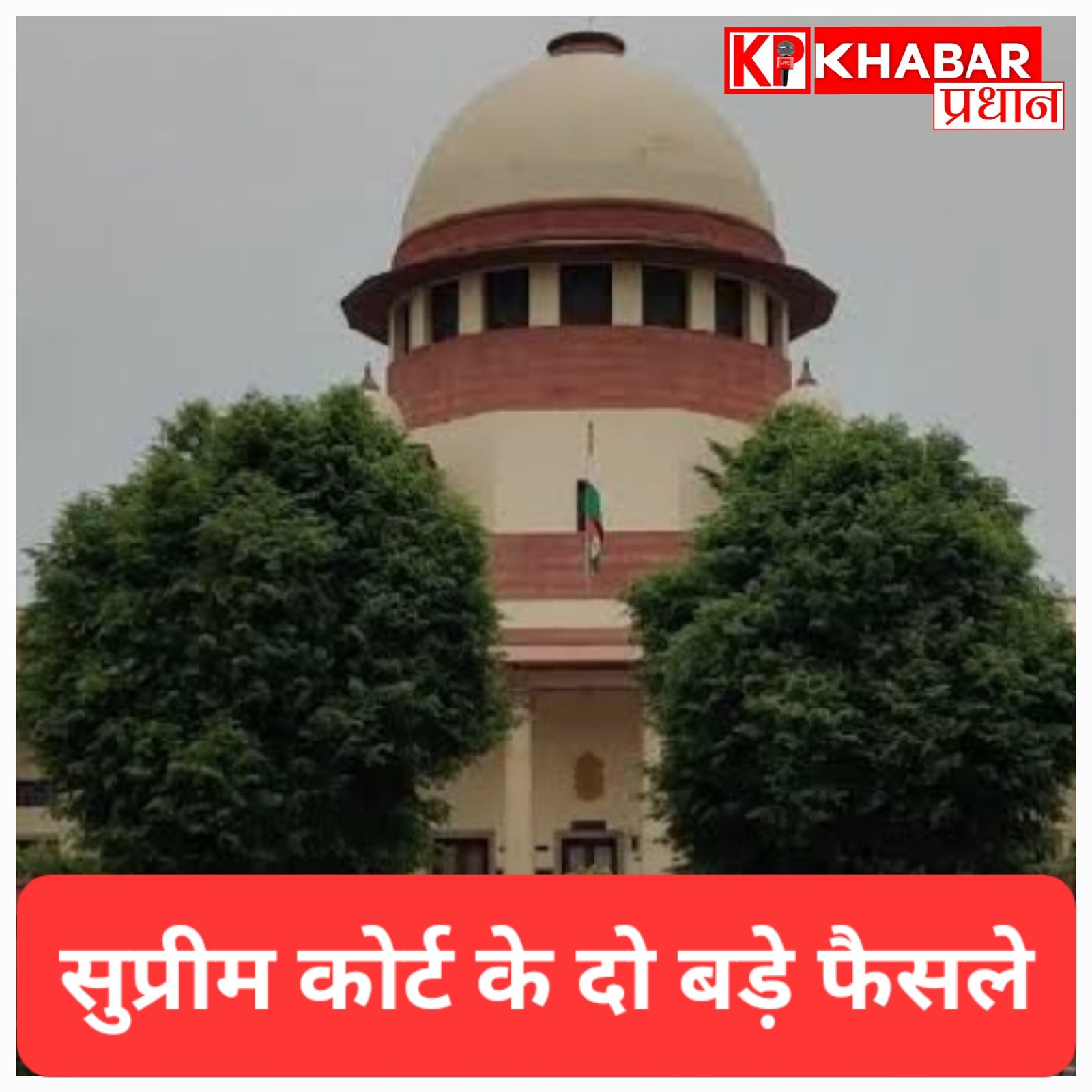 सुप्रीम कोर्ट के दो बड़े फैसले: प्रदर्शन के नाम पर सड़क जाम करने वालों को फटकार, और आवारा कुत्तों को लेकर जारी किए सख्त आदेश