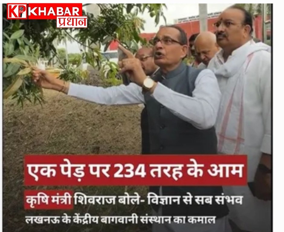 लखनऊ का करिश्माई पेड़: एक ही पेड़ पर उग रहे हैं 334 तरह के आम: