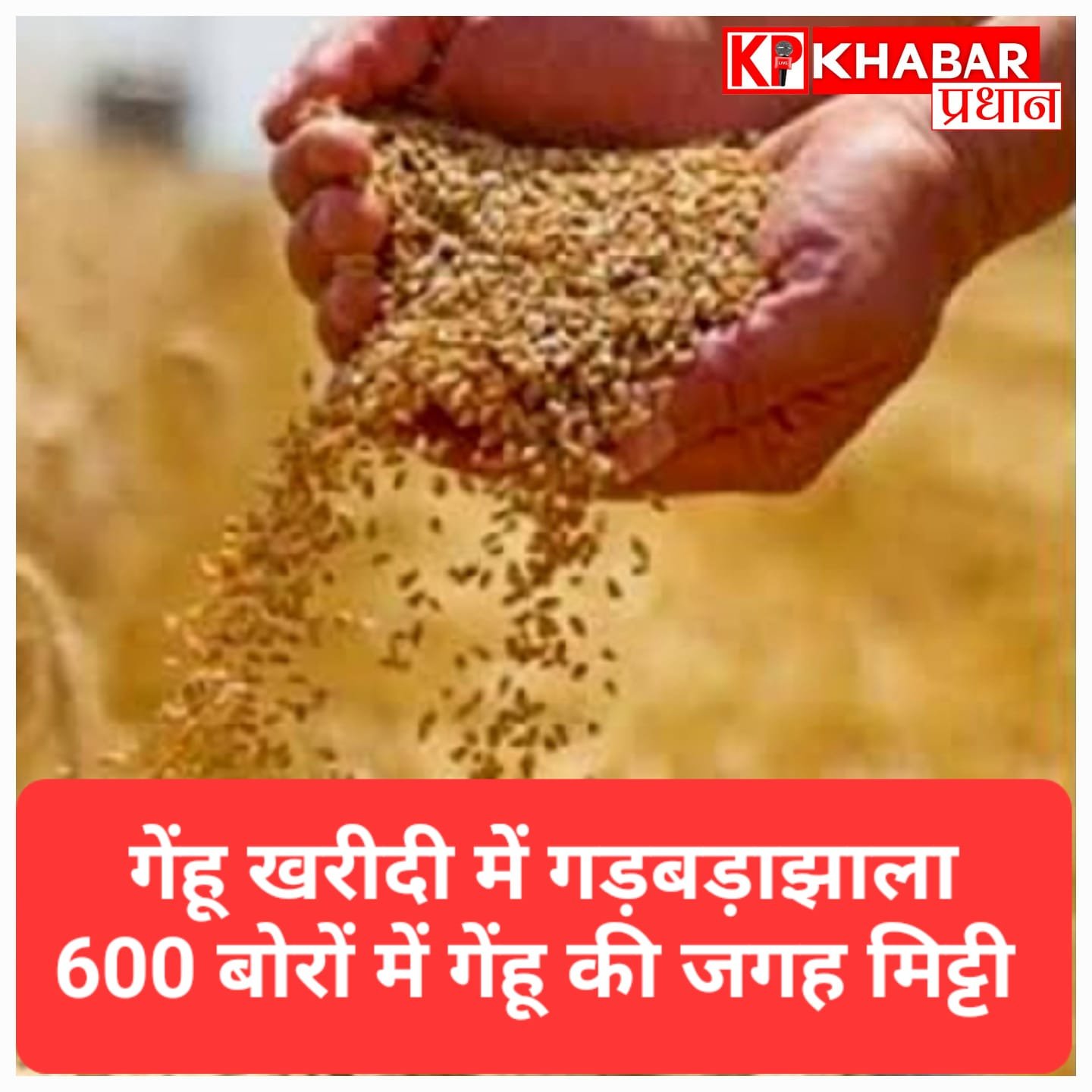 गेहूं खरीदी में महाघोटाला! सरकारी गोदाम में गेहूं की जगह भेज दीं मिट्टी से भरी 600 बोरियां, प्रशासन में मचा हड़कंप