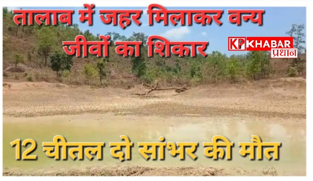 वन्यजीवों के शिकार के लिए दिल दहला देने वाला मामला:तालाब में जहर मिलाकर वन्यजीवों को बनाया निशाना: तीन आरोपी गिरफ्तार: