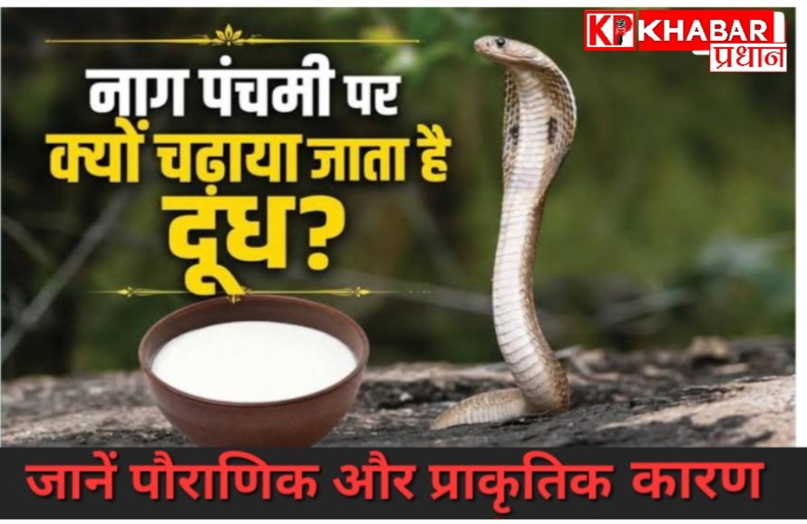 नाग पंचमी पर नाग देवता को दूध क्यों अर्पित किया जाता है: