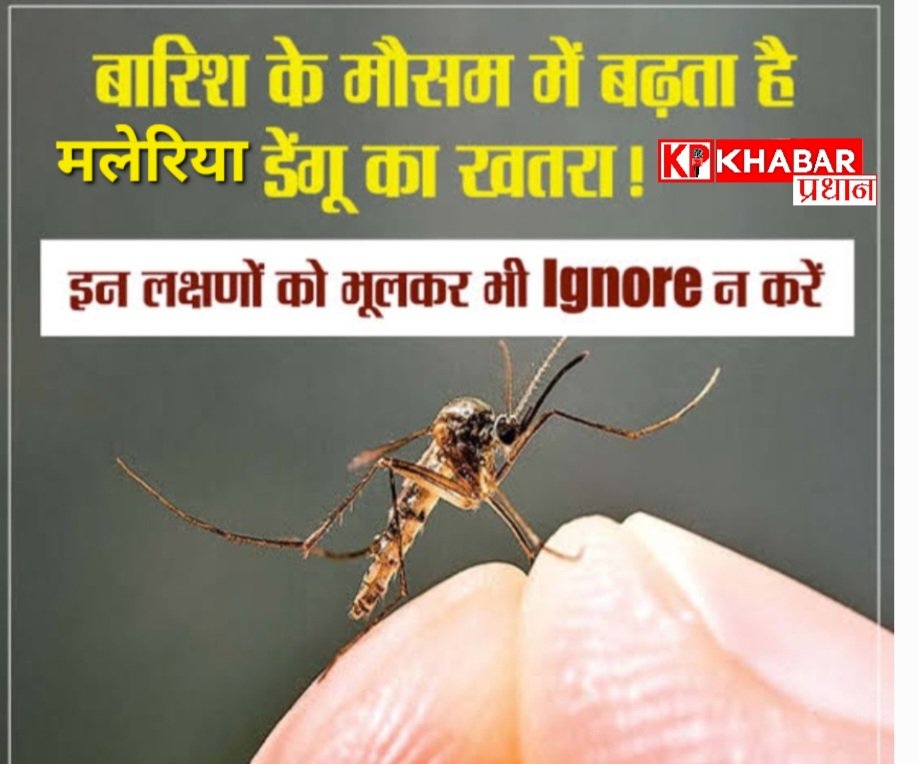 मानसून सीजन में डेंगू मलेरिया का खतरा: बचने के लिए क्या करें: आइये जानें कुछ उपाय: